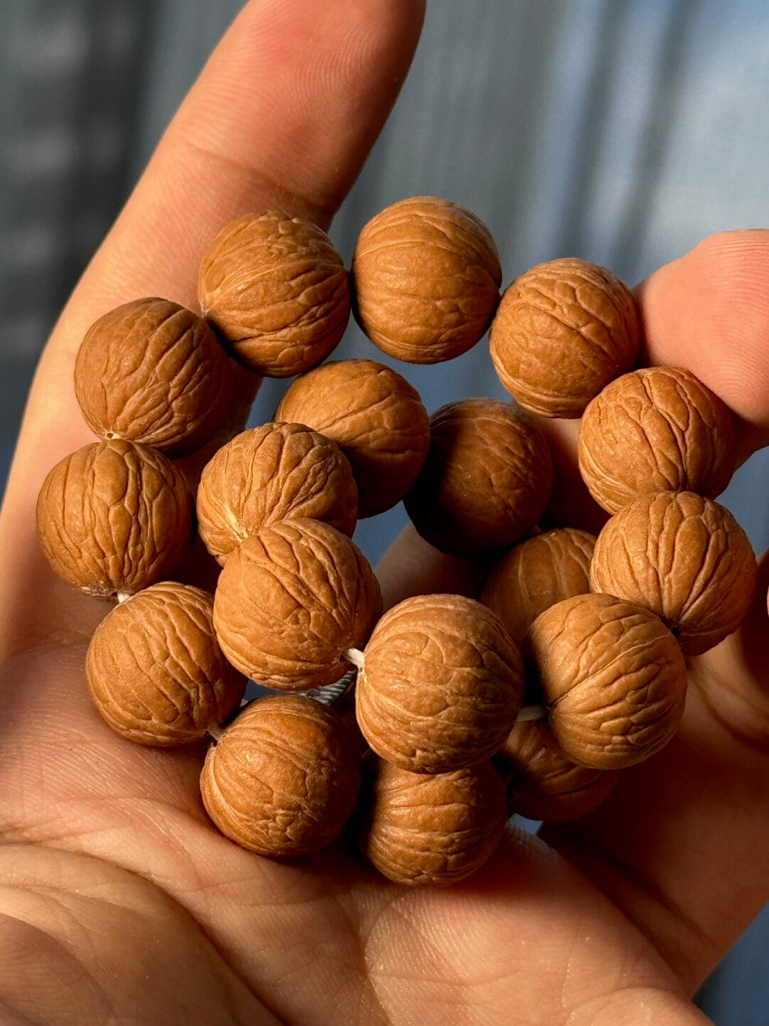 【猴头·四大名核原皮】凤羽南瓜土豪聚宝盆·原生态无科技