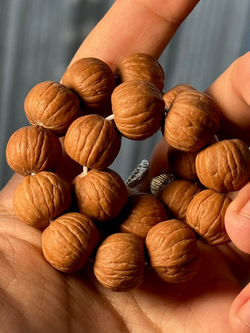 【猴头·四大名核原皮】凤羽南瓜土豪聚宝盆·原生态无科技