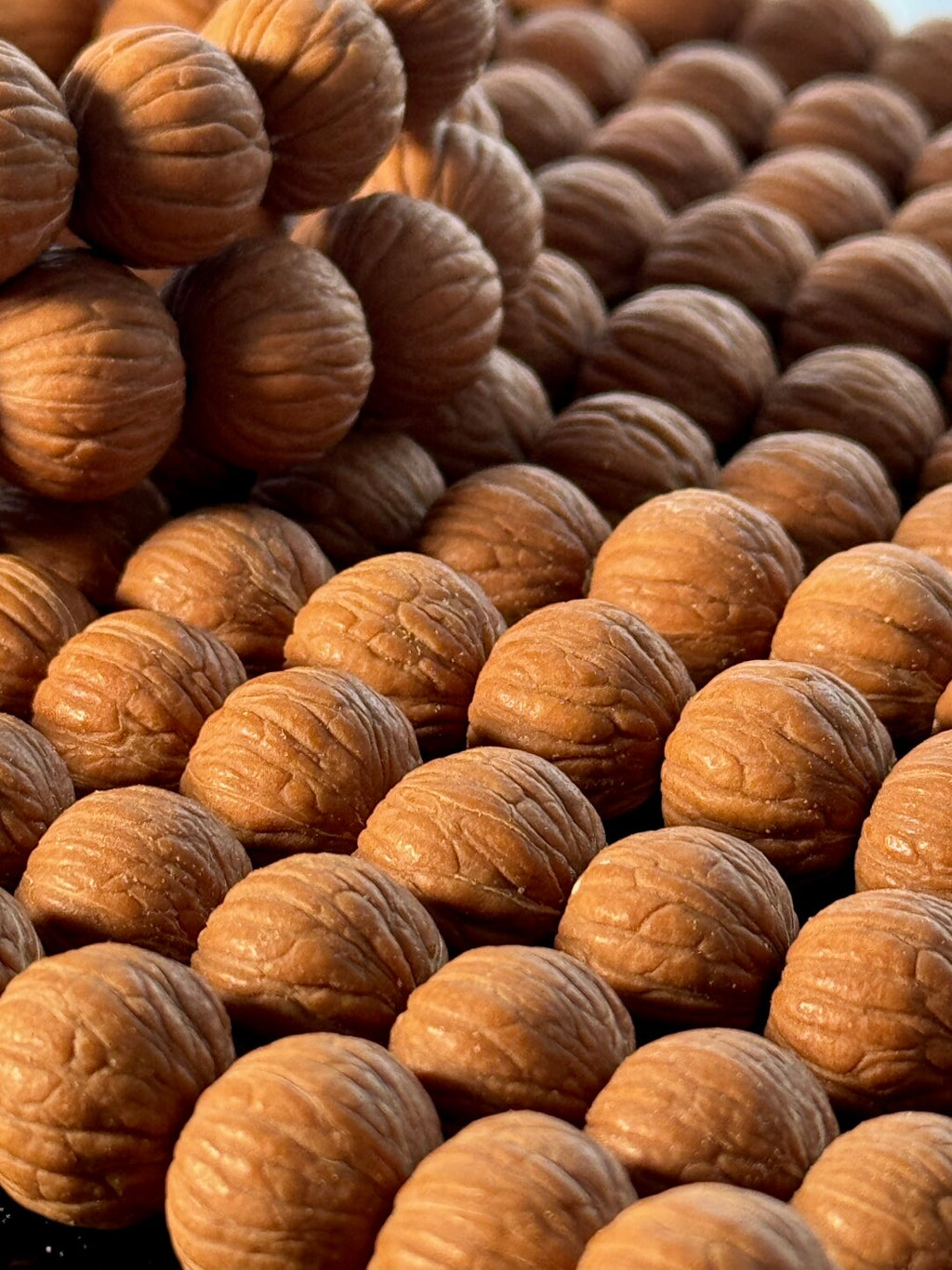 【猴头·四大名核原皮】凤羽南瓜土豪聚宝盆·原生态无科技