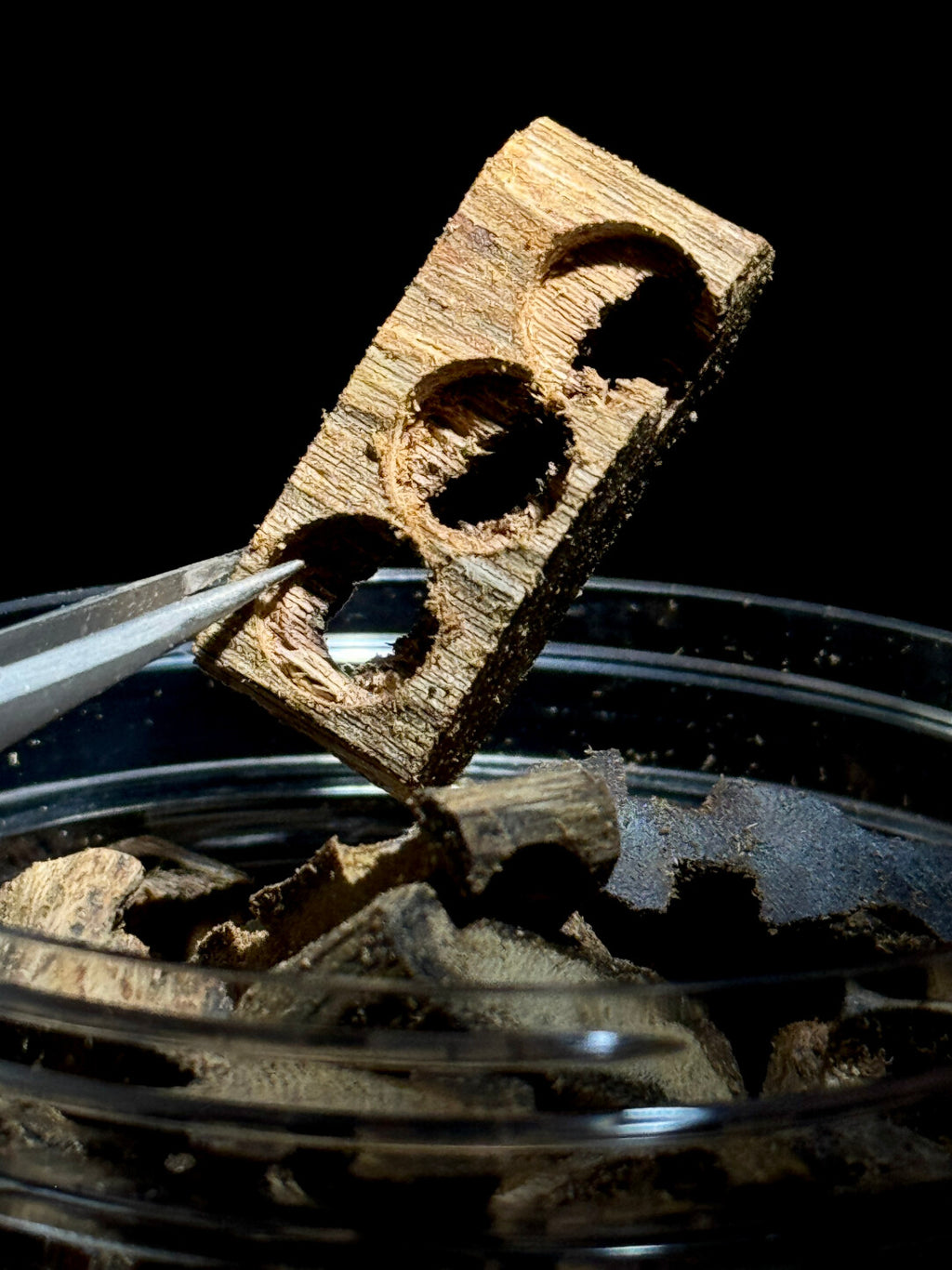 【绿奇楠沉香·车珠碎料】原生态·结油丰富香韵浓厚·熏香养珠首选